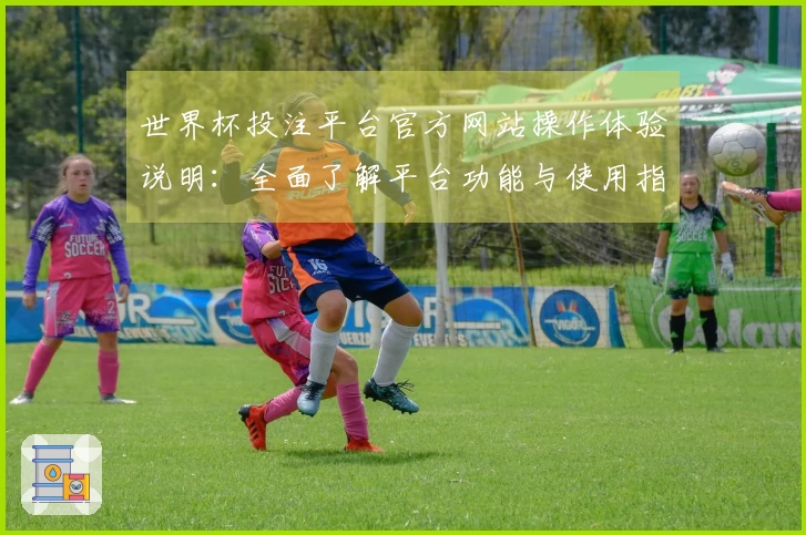 世界杯投注平台官方网站操作体验说明：全面了解平台功能与使用指南