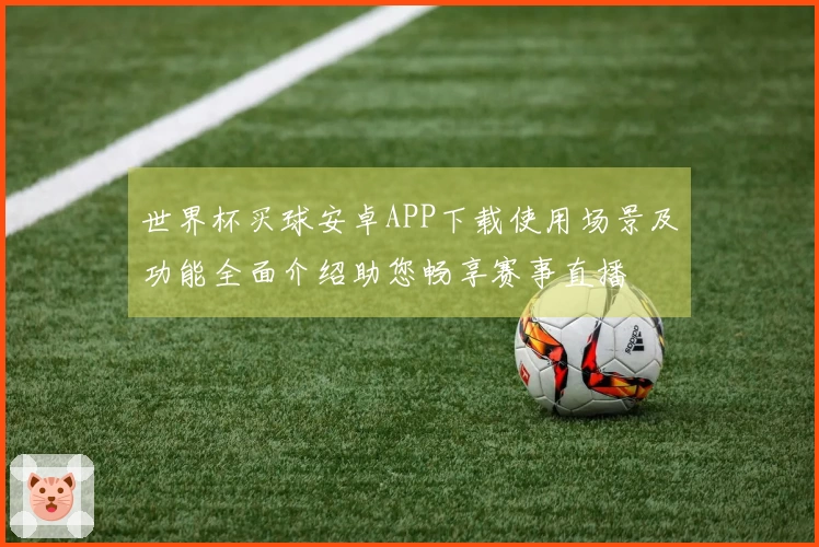 世界杯买球安卓APP下载使用场景及功能全面介绍助您畅享赛事直播