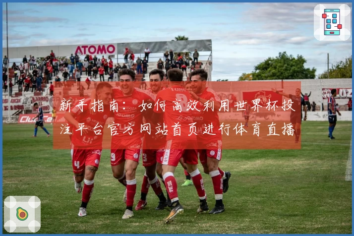 新手指南：如何高效利用世界杯投注平台官方网站首页进行体育直播观看