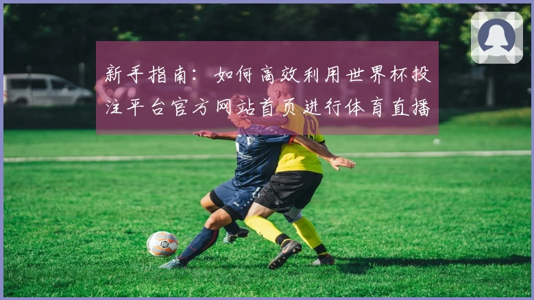 新手指南：如何高效利用世界杯投注平台官方网站首页进行体育直播观看